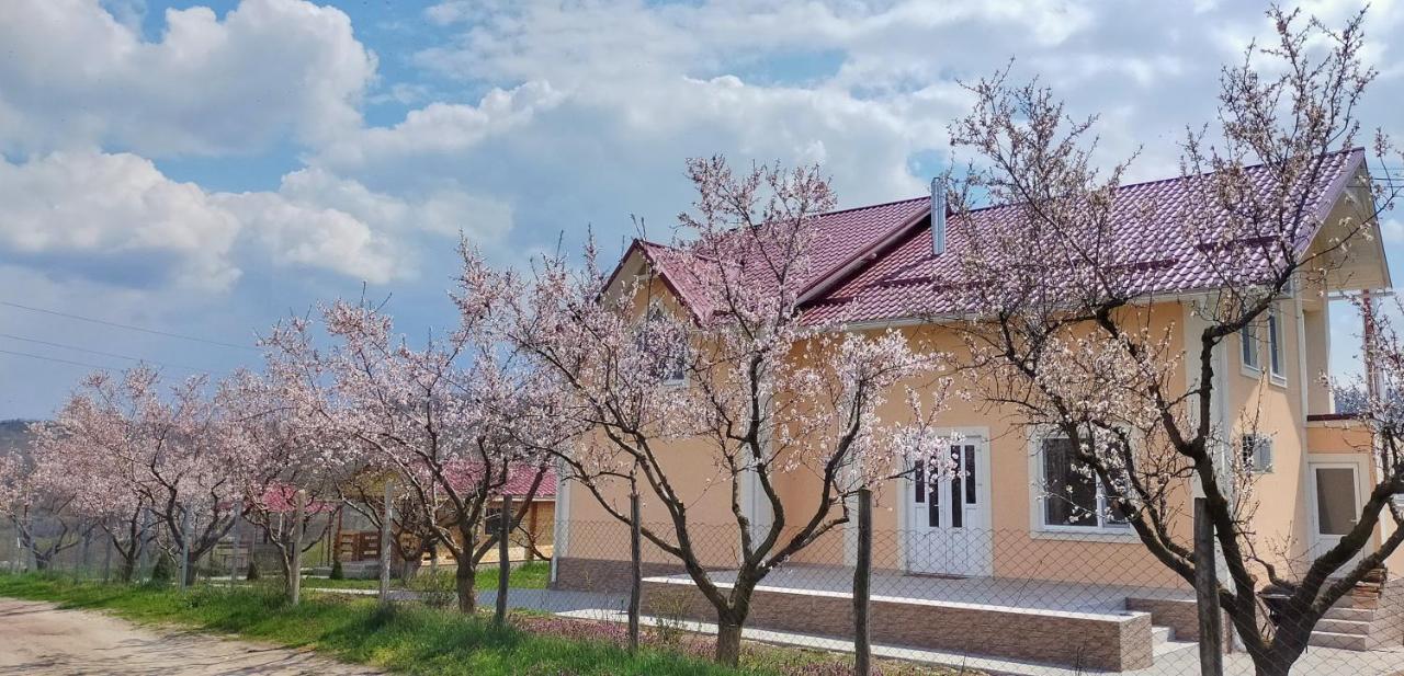 Conacul Mierii Vila Straseni Exterior foto