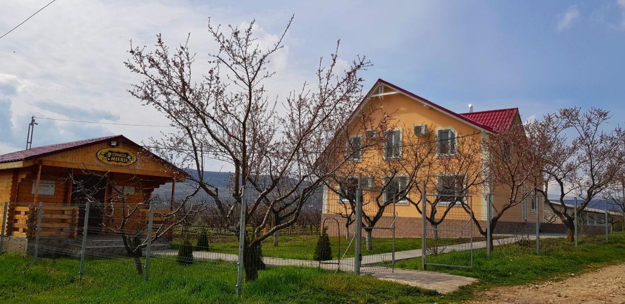 Conacul Mierii Vila Straseni Exterior foto